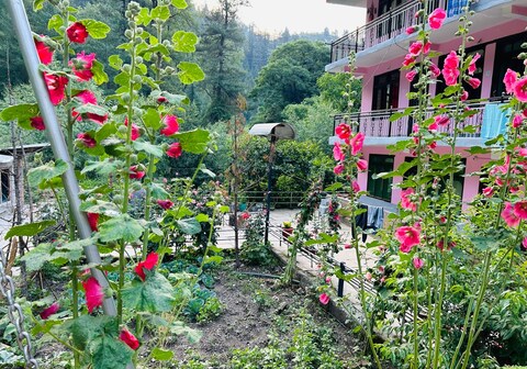 The River Front Homestay Jibhi