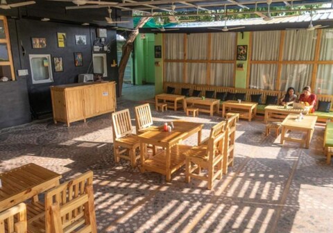 Jungle by sturmfrei Pushkar