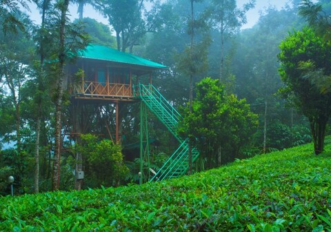 Dream Catcher Plantation