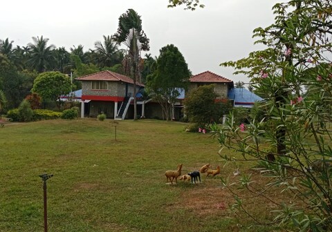 Palaka Resorts Water Sports