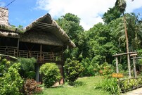 The Wild Orchid, Port Blair The Wild Orchid, Port Blair