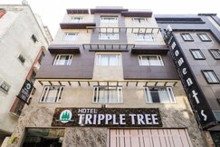 Tripple Tree @ Channa Market Chowk., Delhi Tripple Tree @ Channa Market Chowk., Delhi