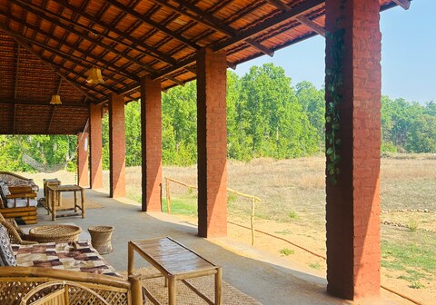 BaghinDhara: Stream of the Tigress