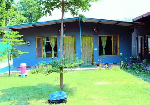 The Corbett Nature Green By StayApart