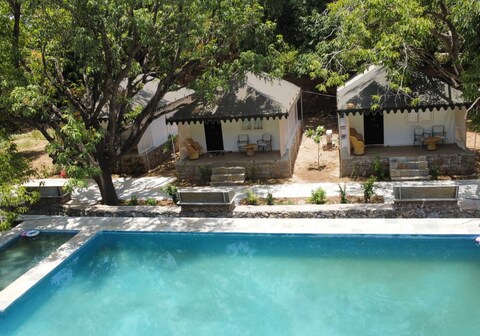 The Choclate Frog Udaipur