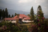 Goomtee Tea Garden Retreat, Darjeeling Goomtee Tea Garden Retreat, Darjeeling