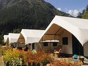 Kinner Camps sangla, Kinnaur Kinner Camps sangla, Kinnaur