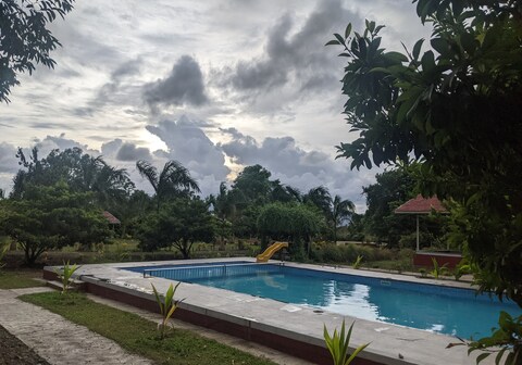 Mango Tree Farm Resort | Farm Stay