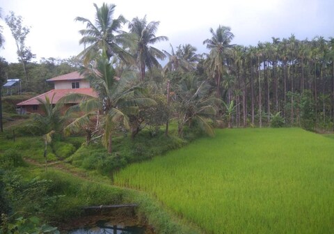 GUBBIKANTHA HOMESTAY