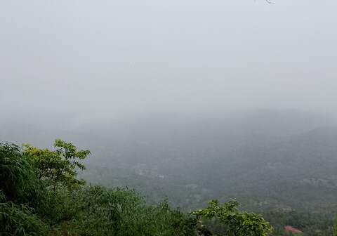 Private room with kitchenette