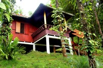 Coffea Aroma Plantation Resorts and Ayurvedic Spa, Wayanad Coffea Aroma Plantation Resorts and Ayurvedic Spa, Wayanad