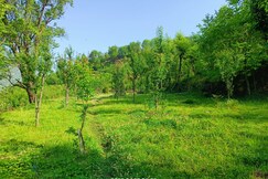 Sparrow s Whisper Resort, Gushaini Sparrow s Whisper Resort, Gushaini