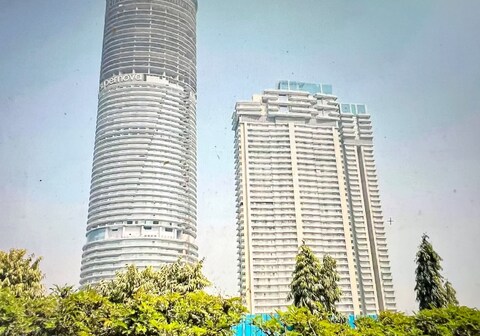 Verde Vista by Genius Groves