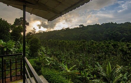 Whispering Willows | Rooms & Caretaker