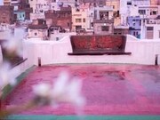 Little Garden Guest House, Udaipur Little Garden Guest House, Udaipur