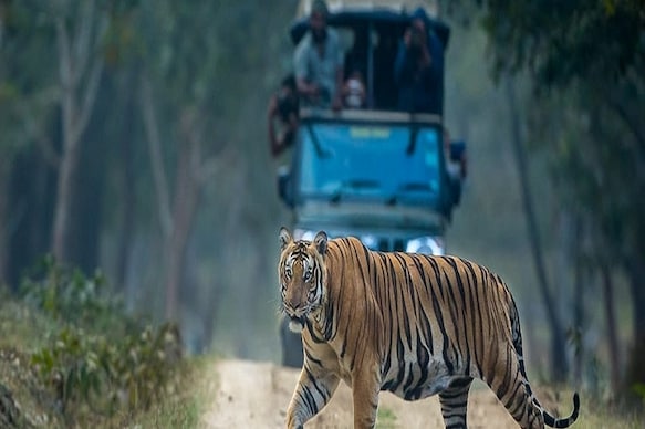 Kabini River Lodge by Jungle Lodges