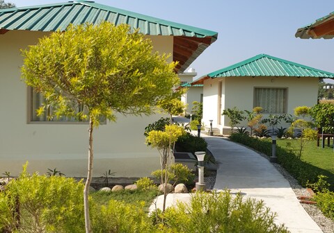 The Tiger Claw resort