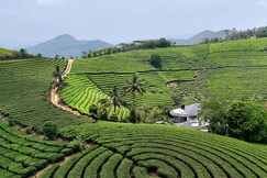 Tea Harmony Villa, Vagamon Tea Harmony Villa, Vagamon