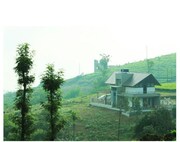 THE ARK, Idduki THE ARK, Idduki