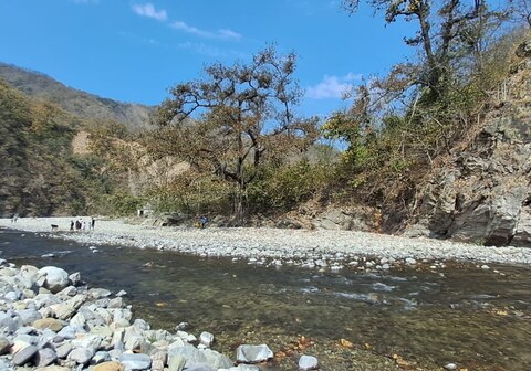 River Stone Camps