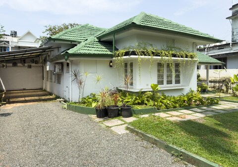 The Chameleon Stories by Alchemy Homes