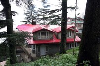 OYO Home 9199 Pinewood Valley 2 BHK Villa Jakhu, Shimla OYO Home 9199 Pinewood Valley 2 BHK Villa Jakhu, Shimla