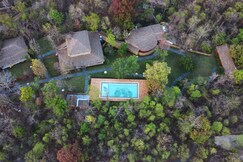 Saj In the forest Pench, Chhindwara Saj In the forest Pench, Chhindwara