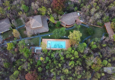 Saj In the forest Pench