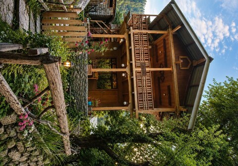 Tiny House