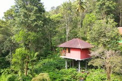 VMJ Wild Stay, Wayanad VMJ Wild Stay, Wayanad