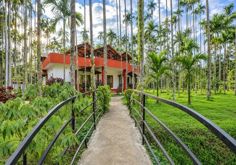 Lazo Areca Resort