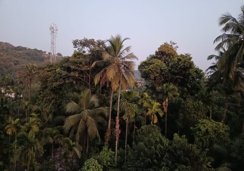 Hare Krishna Beach Resort