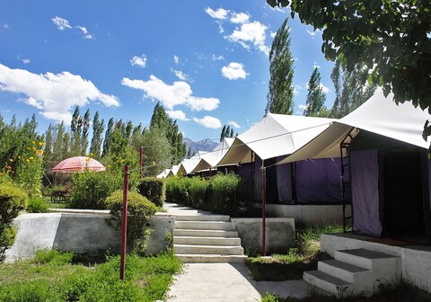 Tiger Camp Nubra | Tents & Wi-Fi