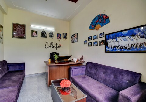 Collection O Mount View