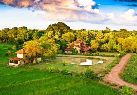 Rare Earth Farms & Homestay