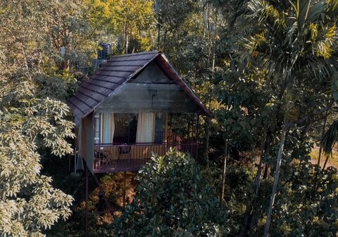 Hillock | Tree House & Villa