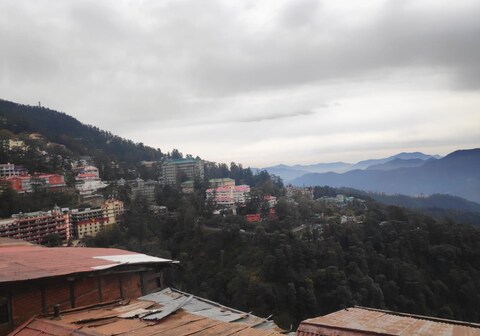 Exotic Greens Apartment | Rooms & Kitchen