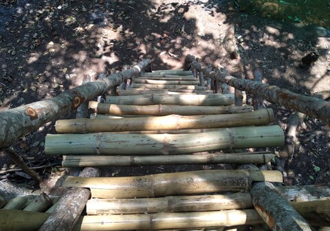 Tree Top Bamboo Cottage