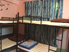 Mcleod Backpackers, Dharamshala Mcleod Backpackers, Dharamshala