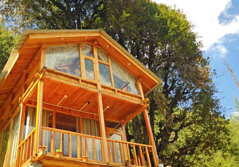 WOW Duplex Treehouse