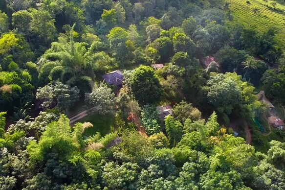 Misty Night Jungleside Resort