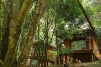 Stream Valley Cottages, Wayanad Stream Valley Cottages, Wayanad