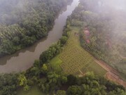 Pragati Homestay Nagarakodi, Sirsi Pragati Homestay Nagarakodi, Sirsi