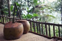 Vanya Tree House, Thekkady Vanya Tree House, Thekkady