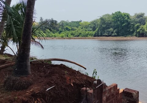 Coco Palm Eco Resort