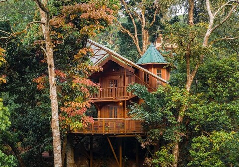 Forestvalley Tree House