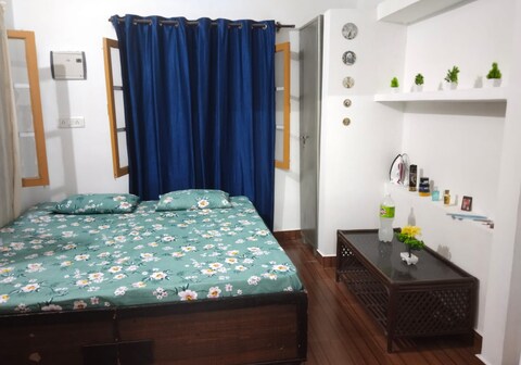 BAMBOO POINT