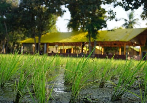 Wander lust hampi, Hampi