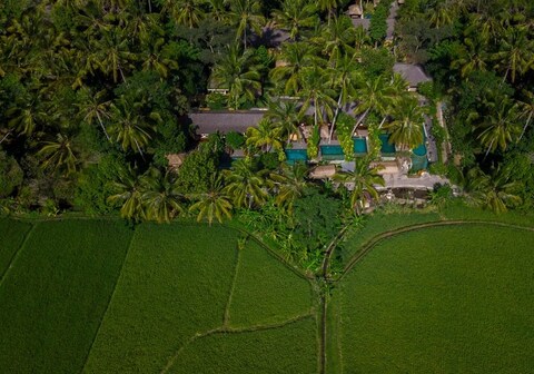 Ubud Padi Villa