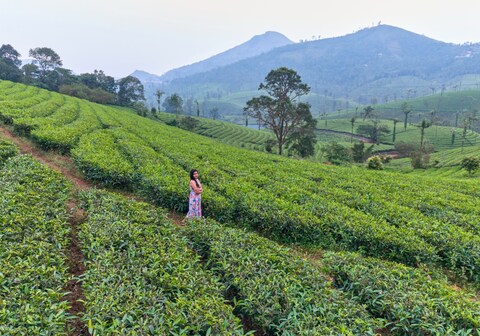 Sylora Meadows Pool Villa